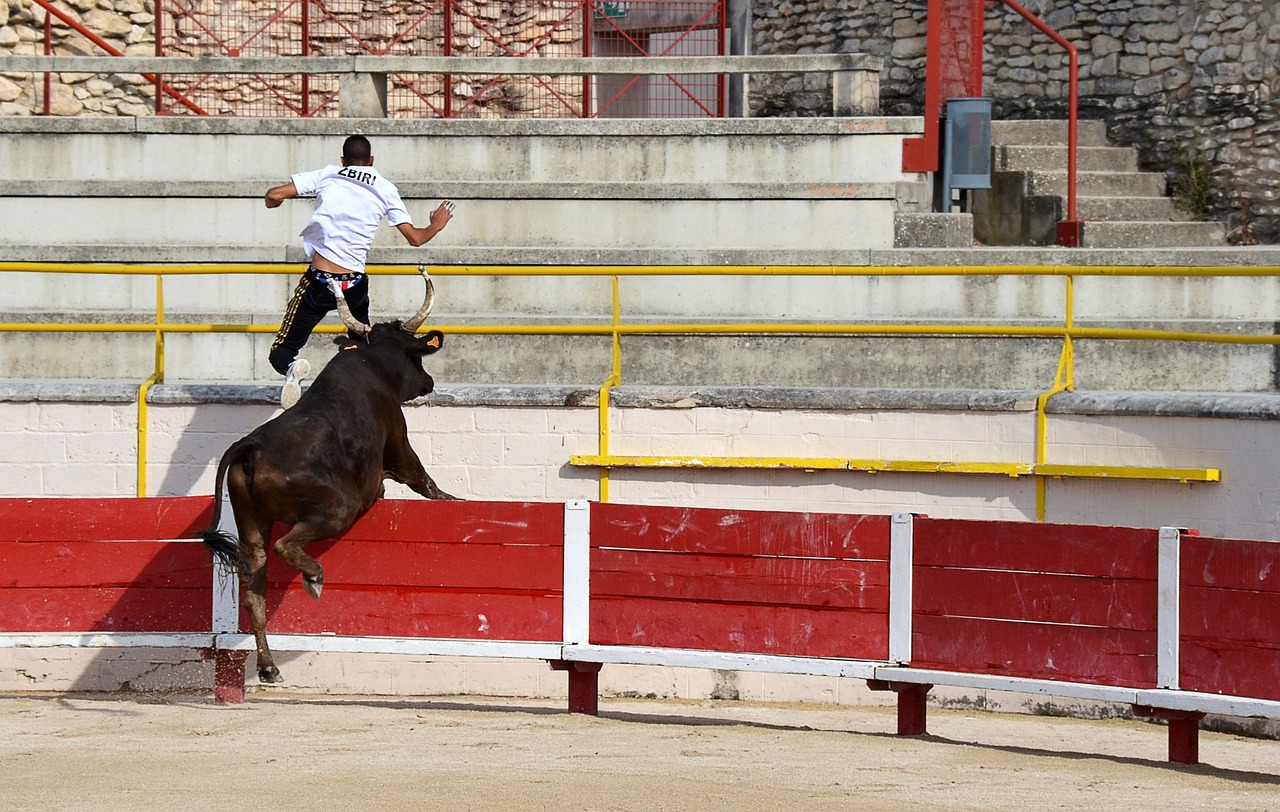 胜对手