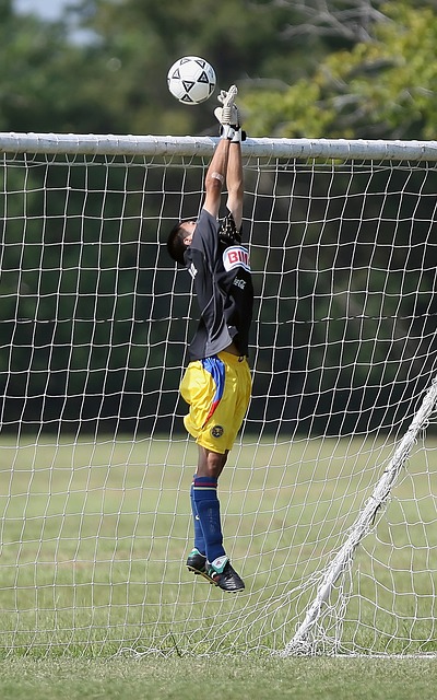 阿迪宾达需 阿迪宾达需