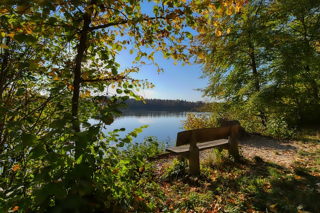 大高光时刻 大高光时刻