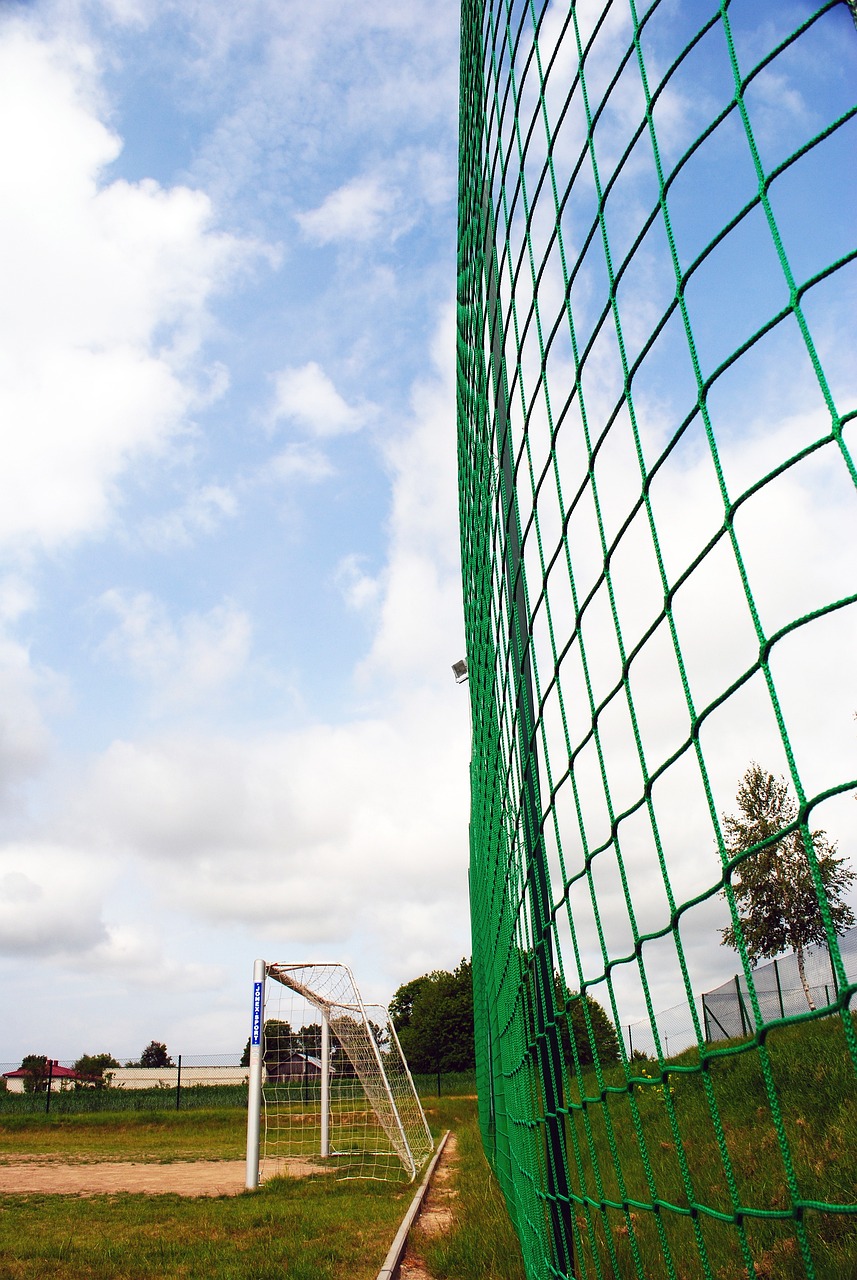 的状态开始 的状态开始