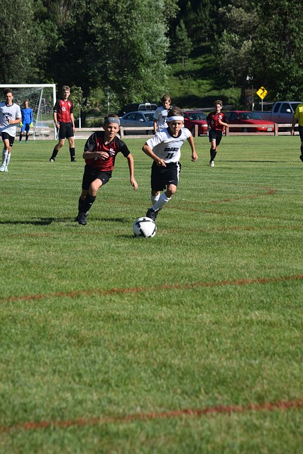 不仅体现了 不仅体现了