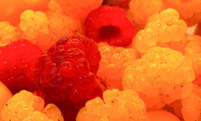 的主要球员 的主要球员