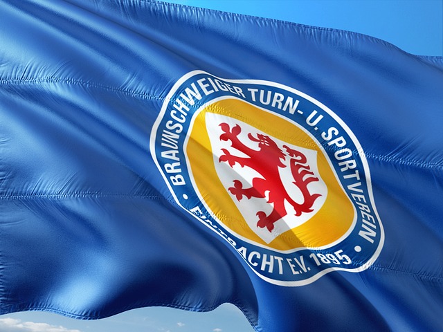 仅展现了中 仅展现了中