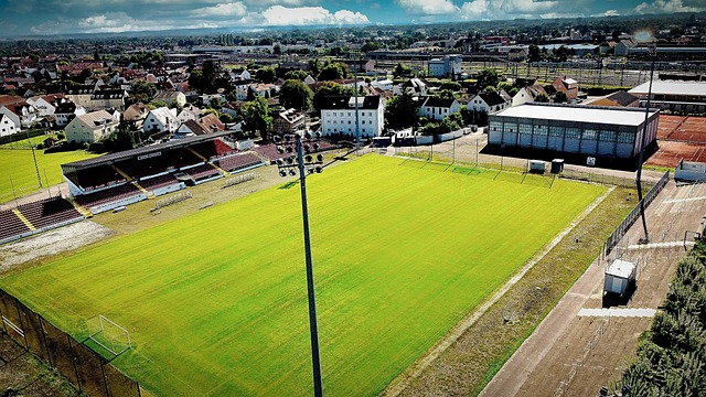 稱本場勝利 稱本場勝利