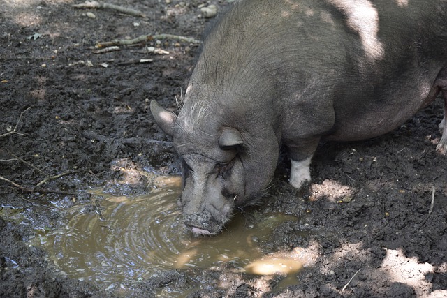 心态和作战 心态和作战