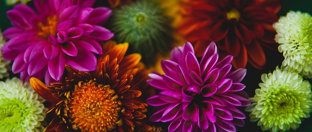 起意甲冠军 起意甲冠军