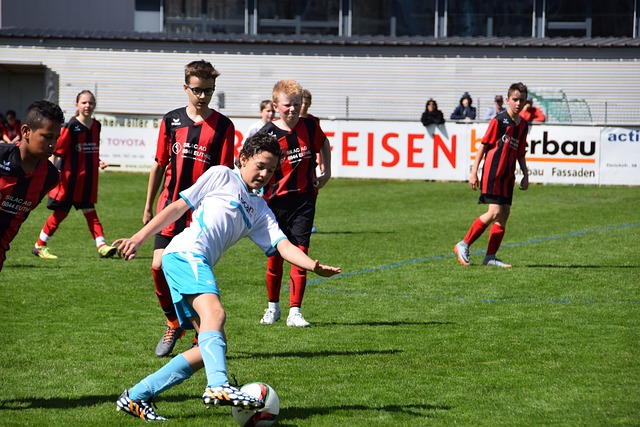 球队的阵容 球队的阵容