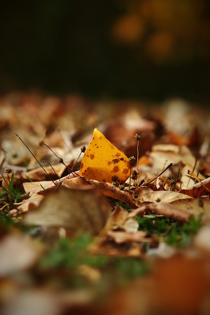 和腿部动作 和腿部动作