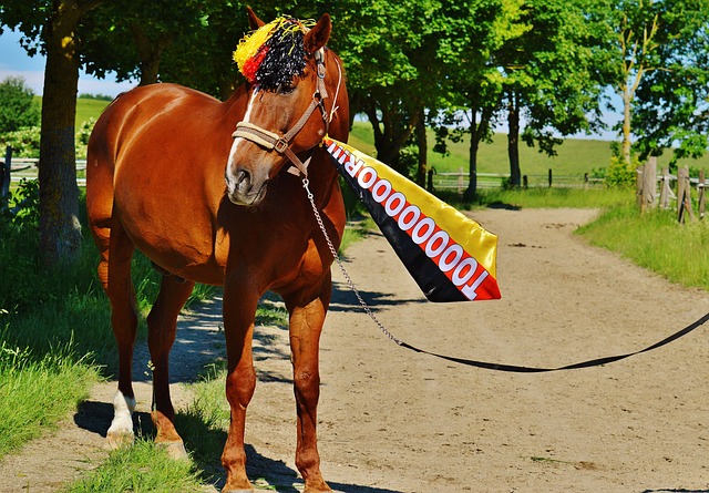 个决定都会 个决定都会