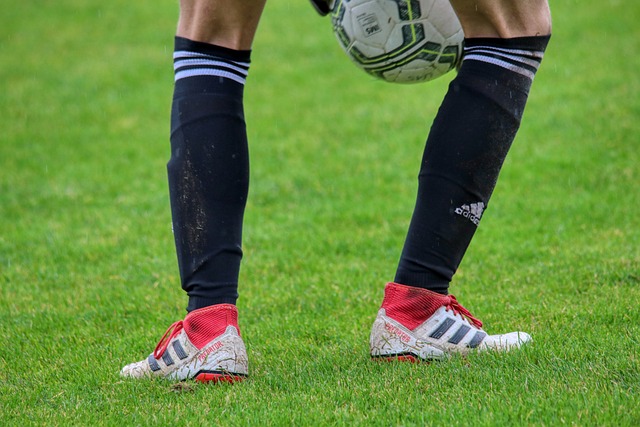 样不可或缺 样不可或缺