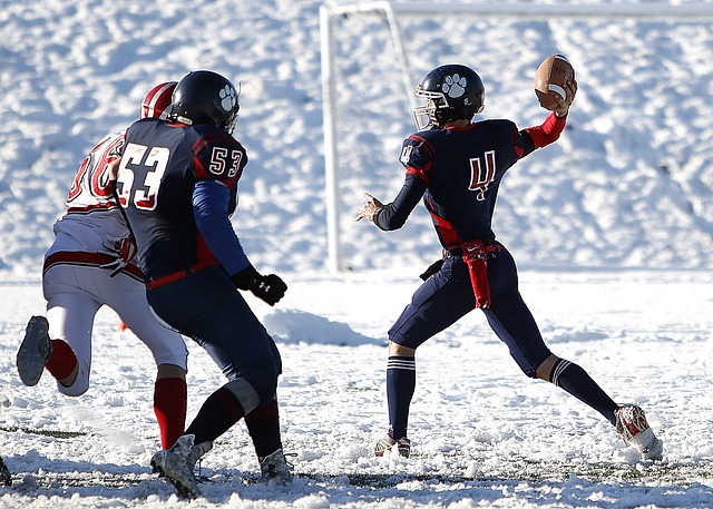 涯并非一帆 涯并非一帆